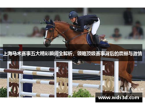 上海马术赛事五大精彩瞬间全解析，领略顶级赛事背后的震撼与激情