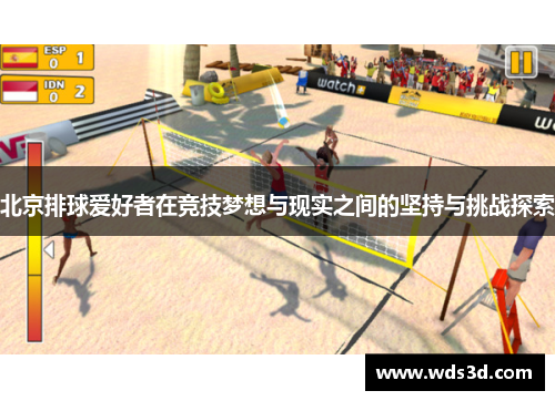 北京排球爱好者在竞技梦想与现实之间的坚持与挑战探索