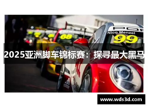 2025亚洲脚车锦标赛：探寻最大黑马