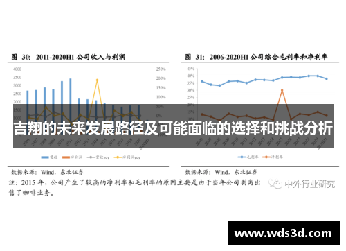 吉翔的未来发展路径及可能面临的选择和挑战分析