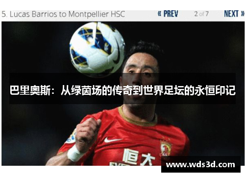 巴里奥斯：从绿茵场的传奇到世界足坛的永恒印记