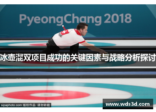冰壶混双项目成功的关键因素与战略分析探讨