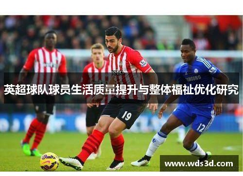 英超球队球员生活质量提升与整体福祉优化研究
